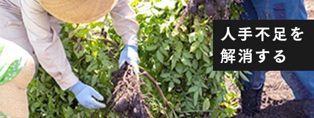 人手不足を解消する